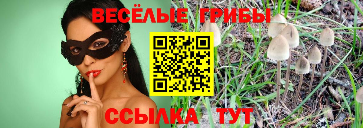 Галлюциногенные грибы ЛСД Ахтубинск
